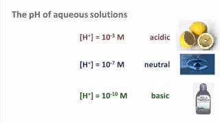 Biochemistry 31 Dissociation of water [upl. by Eilak]