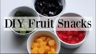 DIY Homemade Natural Fruit Snacks  Gummies  4 Recipes ♡ NaturallyThriftyMom [upl. by Lewellen]