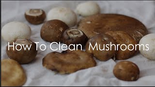 How to Clean Mushrooms [upl. by Marl]