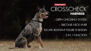 How to use a Dog Training Harness  EzyDog Crosscheck Harness [upl. by Benoit]