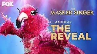 The Flamingo Is Revealed As Adrienne Bailon  Season 2 Ep 13  THE MASKED SINGER [upl. by Naillig]