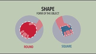 K12 Grade 1  Science Difference and Similarities [upl. by Yrmac]