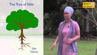 How and Why are Sikhs killing Sikhi [upl. by Magnum]