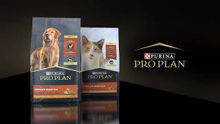 Purina Pro Plans New Dog amp Cat Food Packaging Design [upl. by Lhary]