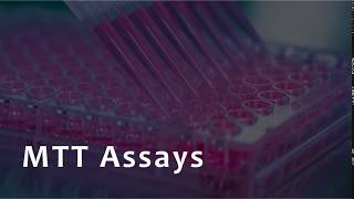 MTT Assay for Cell Viability [upl. by Ingles]