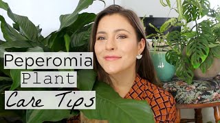 Peperomia Plant Care Tips amp Tricks  Peperomia Houseplant Care [upl. by Adnyl]