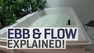 Ebb and Flow Hydroponics Explained [upl. by Gibert]