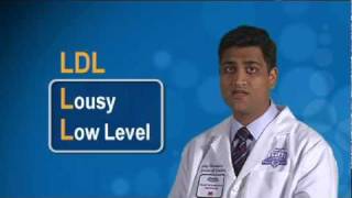 Low LDL vs High HDL Density Lipoprotein Cholesterol Explained [upl. by Joselyn692]