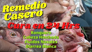 Remedio Casero para CURAR Moquillo Diarrea Blanca Ronquera Ojo Hinchado en Nuestras Gallinas [upl. by Meredith]