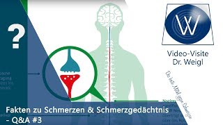 Chronischer Schmerz das Schmerzgedächtnis psychosomatische Schmerzen amp Schmerztherapie ☎QampA 3👥 [upl. by Ulphia]