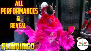 Masked Singer Flamingo All Performances amp Reveal  Season 2 [upl. by Tesler]