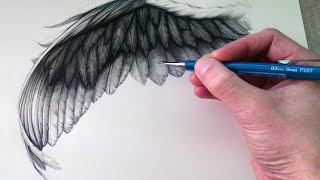 How to Draw a Wing [upl. by Erl224]