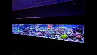 Aquaforest 912g Mixed Reef [upl. by Rafat]