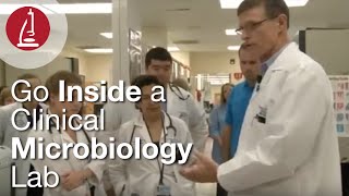 Go Inside a Clinical Microbiology Lab [upl. by Arthur10]