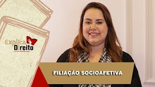 Explica Direito Filiação Socioafetiva  2019 [upl. by Mandel]