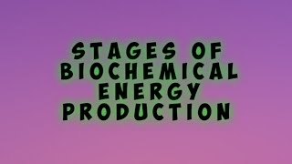 Stages of Biochemical Energy Production [upl. by Arela]