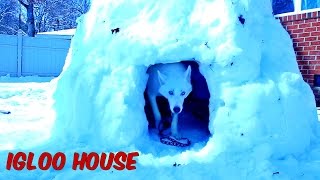 How to Make Igloo House [upl. by Assanav]