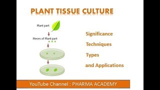 Plant Tissue Culture [upl. by Valenka]