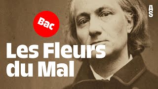 Les Fleurs du Mal Charles Baudelaire  Bac français 2024 [upl. by Lancaster]