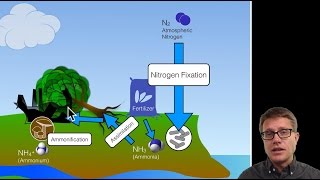 Biogeochemical Cycles [upl. by Flavia20]