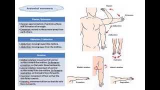 terms of movementsDrAhmed Farid [upl. by Rabkin]