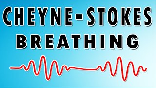 Breathing in Waves Understanding CheyneStokes Respiratory Rhythm [upl. by Soren]