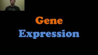 Gene Expression [upl. by Lavicrep]