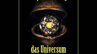 Das Universum in der Nussschale  Hörbuch [upl. by Danby]