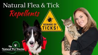 Natural Flea And Tick Remedies For Dogs and Cats [upl. by Allez]