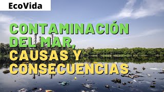 CONTAMINACIÓN del MAR 🌊 CAUSAS y CONSECUENCIAS [upl. by Mellman]