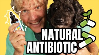 Natural Antibiotics to PREVENT and TREAT Infection [upl. by Ahsieit378]