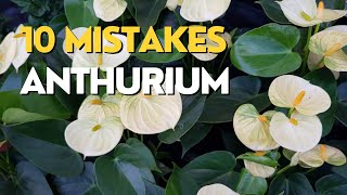 10 MISTAKES Growing Anthuriums  Flamingo Flower Care Tips [upl. by Oisor]