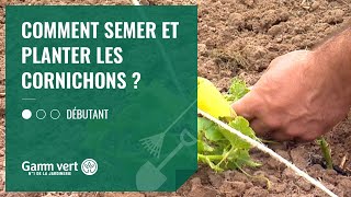 TUTO Comment planter ou semer les cornichons   Jardinerie Gamm vert [upl. by Hareehahs]