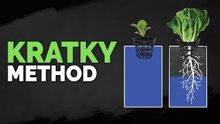 How to Set Up The Kratky Hydroponics Method Tutorial [upl. by Oisorbma]