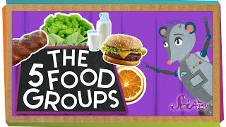 The 5 Fabulous Food Groups [upl. by Adelheid515]