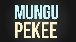 Nyashinski  Mungu Pekee Official Lyric Video [upl. by Aramoy]