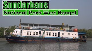 Sundarbans National Park West Bengal  All about journey on ship [upl. by Sreip487]