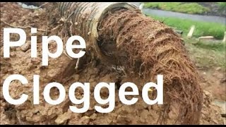 How to Unclog Underground Drainage Pipe  Step by Step Guide [upl. by Anitsim53]