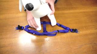 PetChampion  Step in Harness How To [upl. by Melodie658]