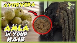 The many benefits of AMLA for your hair  Science and Recipe [upl. by Tare692]