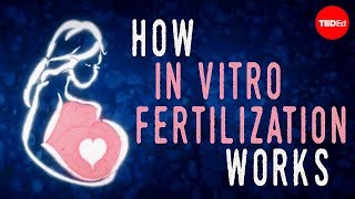 How in vitro fertilization IVF works  Nassim Assefi and Brian A Levine [upl. by Direj]