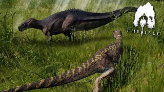 Born to Hunt  Life of a UtahRaptor  The isle [upl. by Anahsek728]