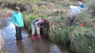 How to Measure Stream Flow [upl. by Bobina]