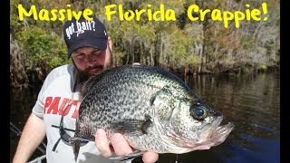 Crappie Fishing Floridas Newnans Lake [upl. by Tempa]