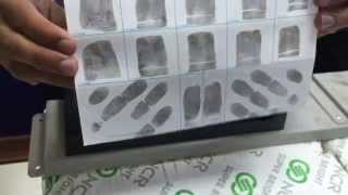 How to Roll Ink Fingerprints [upl. by Wivina399]