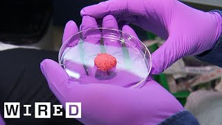 Inside the Quest to Make Lab Grown Meat  WIRED [upl. by Atims]