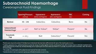 Detailed Animation on Circulation of CSF [upl. by Nananne]