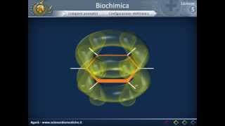 Biologia 05  Nozioni di biochimica strutturale [upl. by Isiahi499]