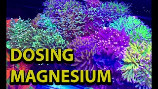 Dosing Magnesium In A Reef Tank [upl. by Egwan794]