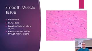 Histology  Bone and Muscle [upl. by Leandra757]